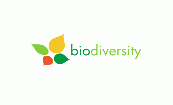 «Biodiversity» brand creation for BP Azerbaijan .gif